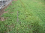 rail poking through grass